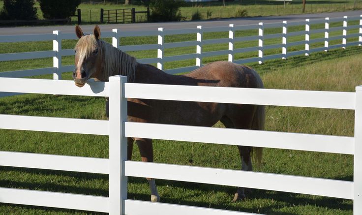 Vinyl-horse-Fence-Panels
